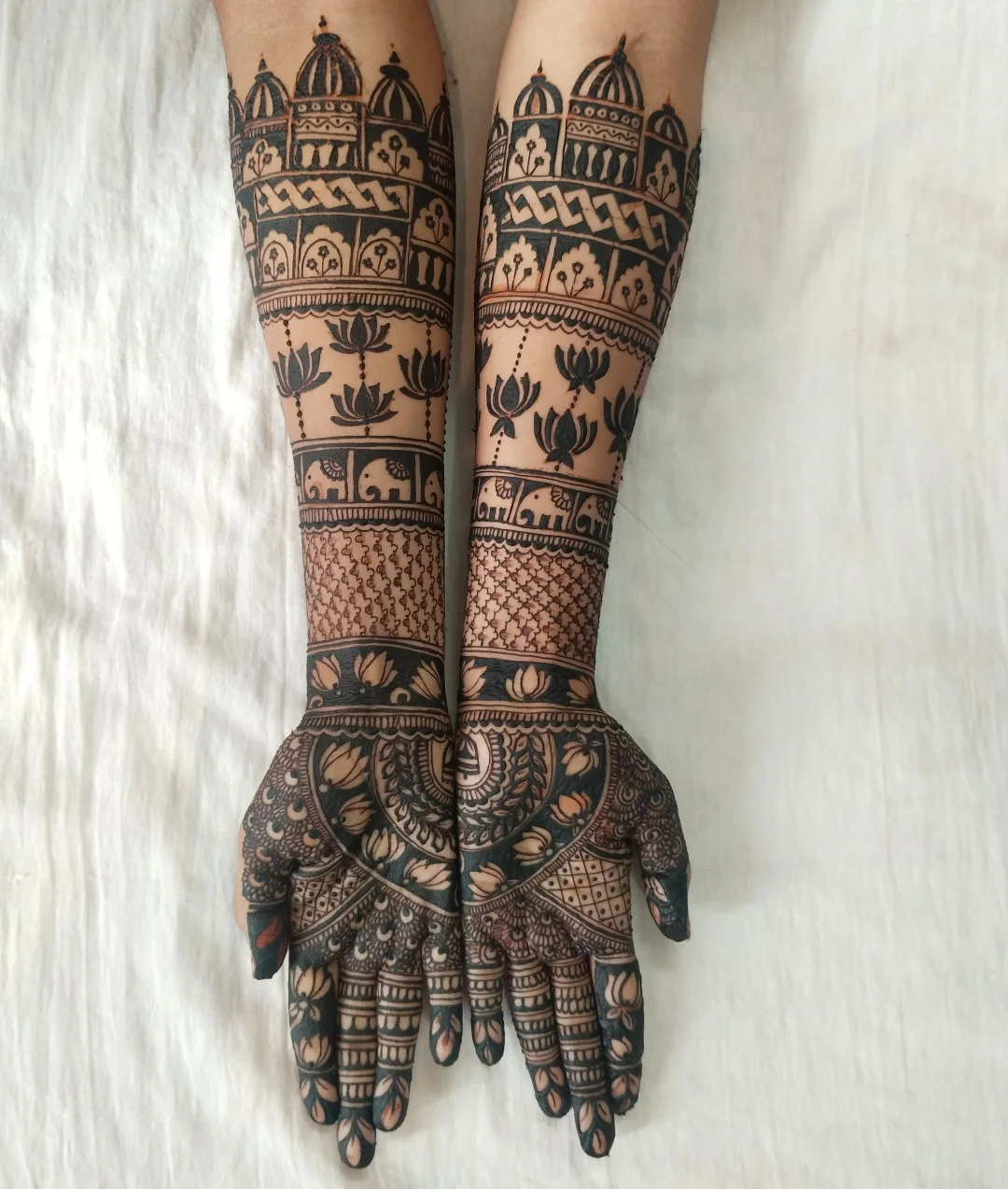 Bridal Mehndi Design in Kota by Sakshi Mehndi Art